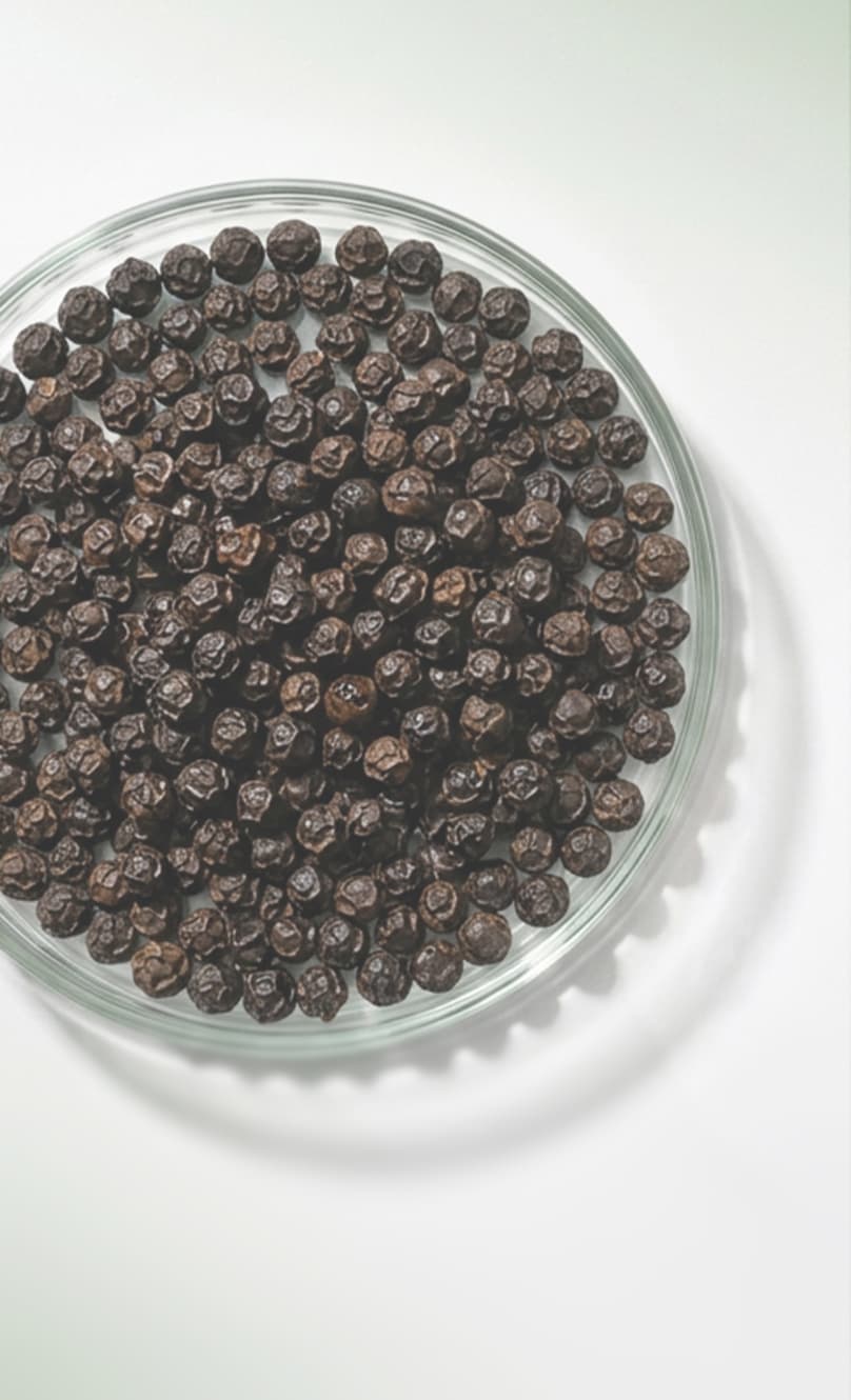 Piperine